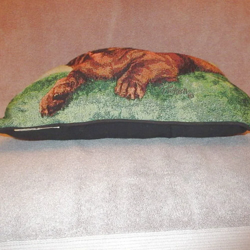 Dachshund Weiner Dog Tapestry Throw Pillow 3D Textured Sausage Pup Linda Picken